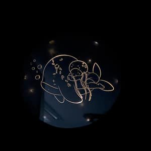 Miroir Veilleuse Baleine